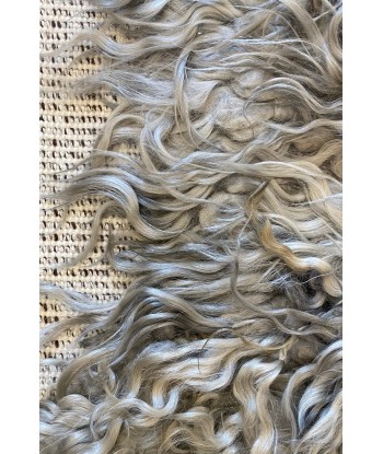 Tapis Angora Gris M des créatures d'habitude