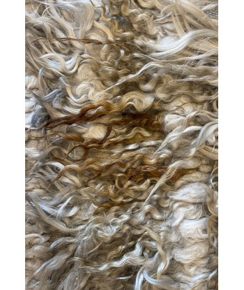 Tapis Angora Gris M des créatures d'habitude