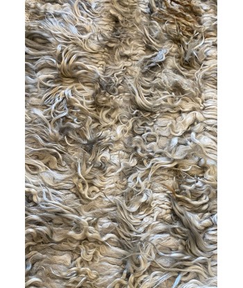 Tapis Angora Gris M des créatures d'habitude