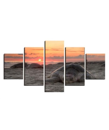 Tableau Tortue  Coucher de Soleil l'évolution des habitudes 