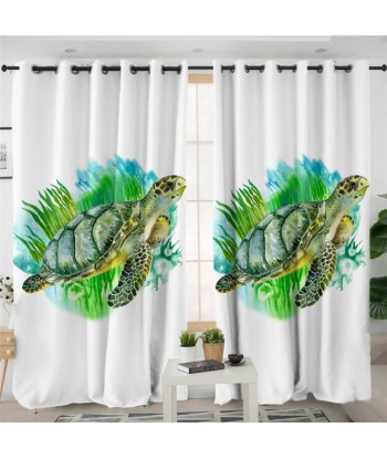 Rideau Tortue  Nature sur le site 