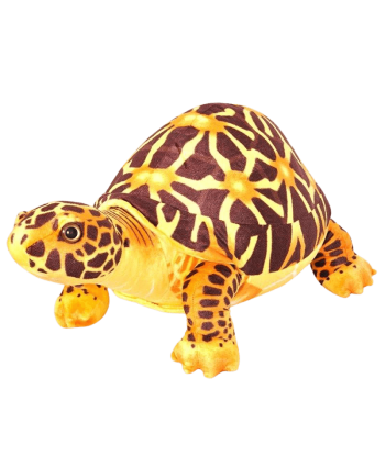 Peluche Tortue  Moderne Jusqu'à 80% De Réduction