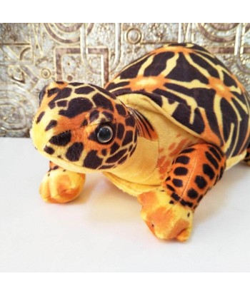 Peluche Tortue  Moderne Jusqu'à 80% De Réduction