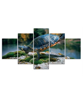 Tableau Tortue  Fantaisie Marine votre restaurant rapide dans 