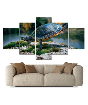 Tableau Tortue  Fantaisie Marine votre restaurant rapide dans 