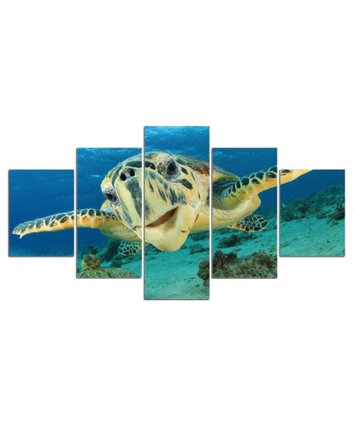 Tableau Tortue  Profondeur pas cheres