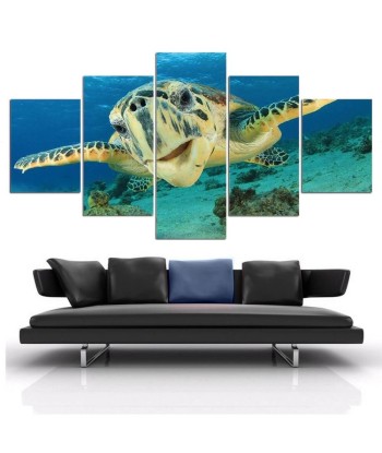 Tableau Tortue  Profondeur pas cheres