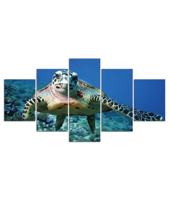 Tableau Tortue  Bas-Fond Economisez 