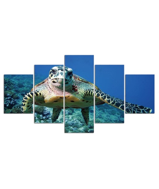 Tableau Tortue  Bas-Fond Economisez 