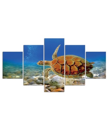 Tableau Tortue  Profondeur Marine pas cher 