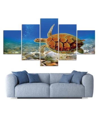 Tableau Tortue  Profondeur Marine pas cher 