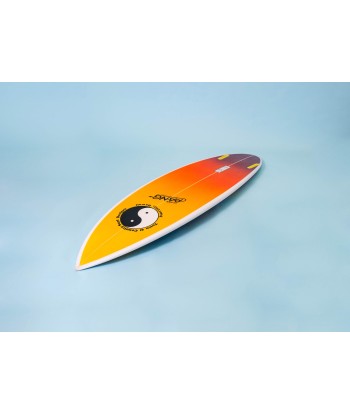 T&C Surf Designs - Glenn Pang - Nomad l'évolution des habitudes 