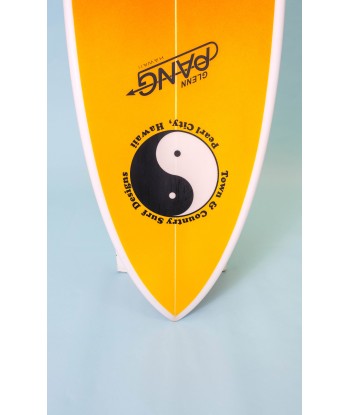 T&C Surf Designs - Glenn Pang - Nomad l'évolution des habitudes 