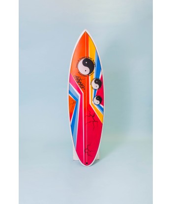 T&C Surf Designs - Glenn Pang - Nomad l'évolution des habitudes 