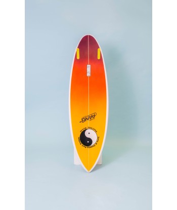 T&C Surf Designs - Glenn Pang - Nomad l'évolution des habitudes 