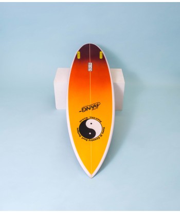 T&C Surf Designs - Glenn Pang - Nomad l'évolution des habitudes 