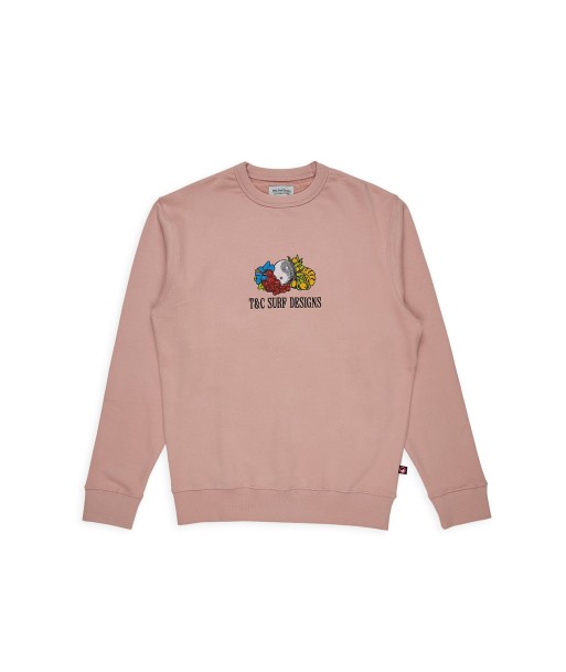 T&C Surf Designs Jon-Of-The-Loom-Crew-Sweat-Dawn-Mauve Les êtres humains sont 